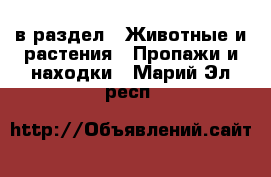  в раздел : Животные и растения » Пропажи и находки . Марий Эл респ.